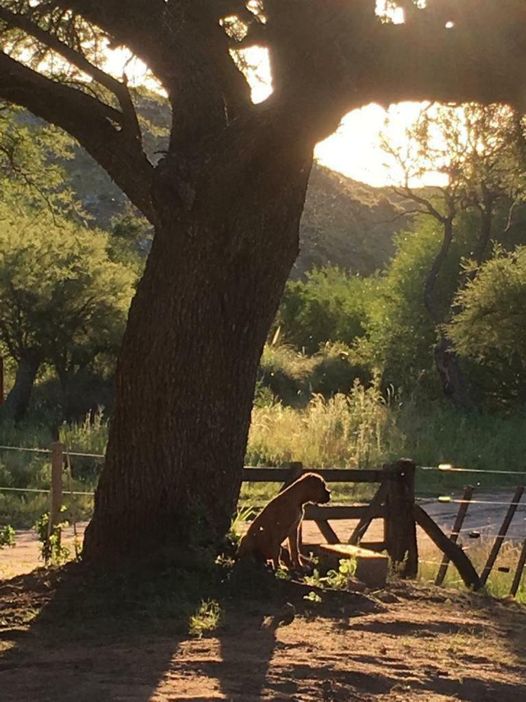 Rancho Zamba Peperina Vila San Luis Exterior foto