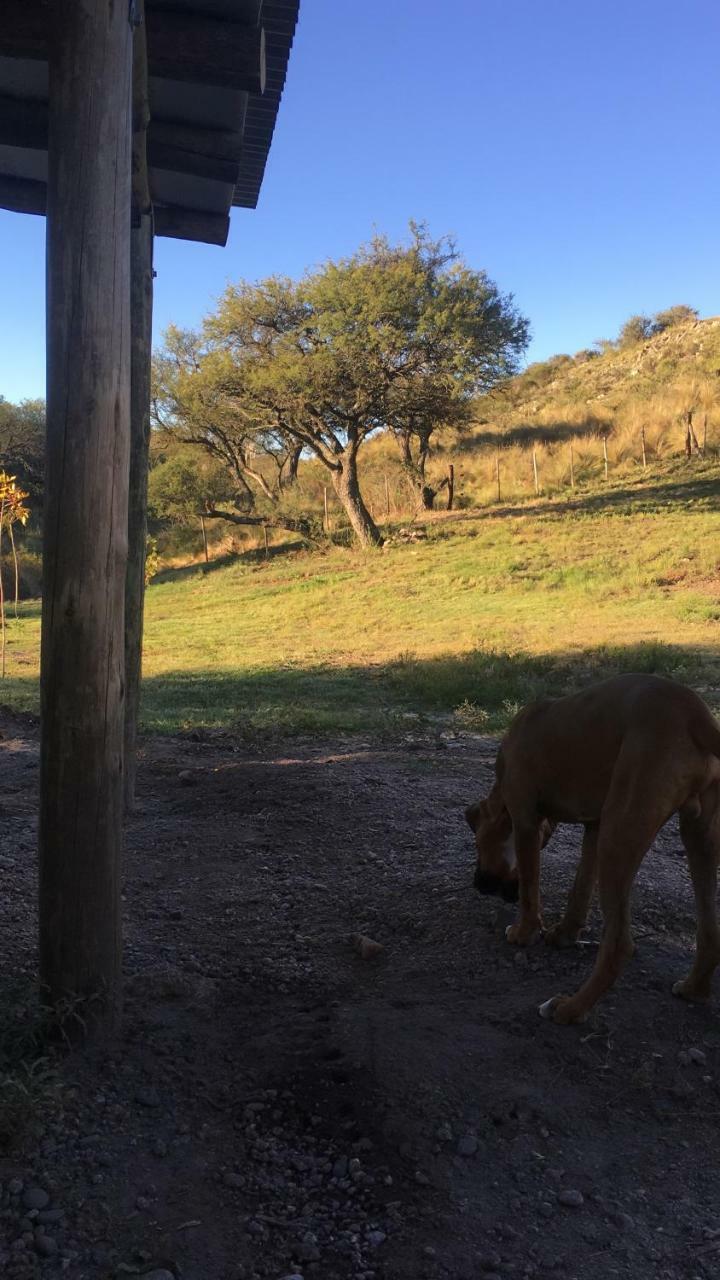 Rancho Zamba Peperina Vila San Luis Exterior foto